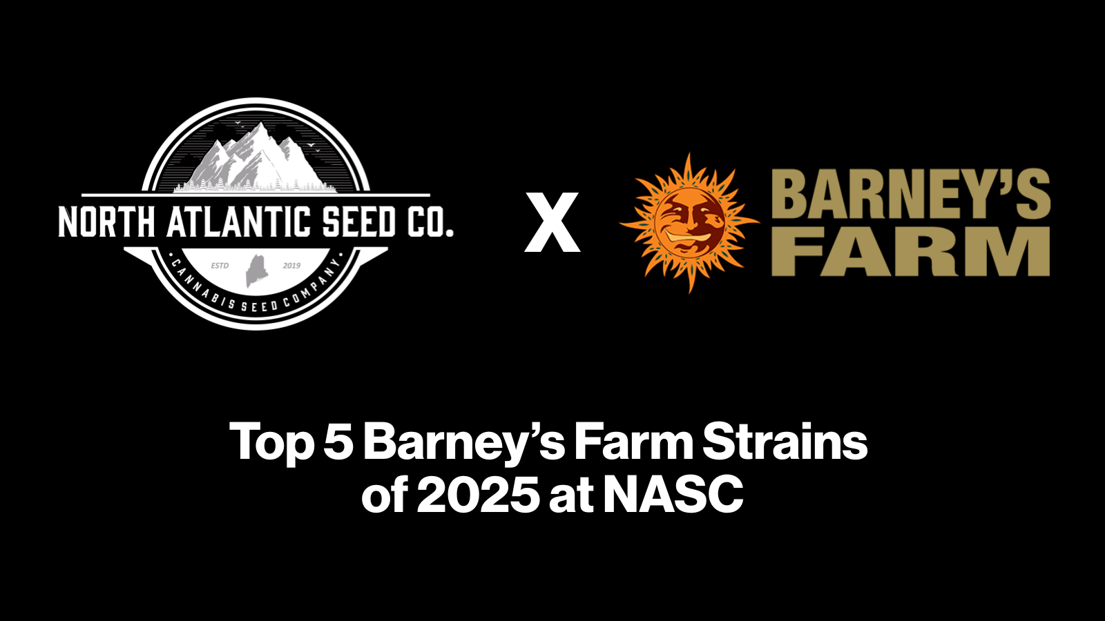 Top 5 Barney’s Farm Strains of 2025 at NASC