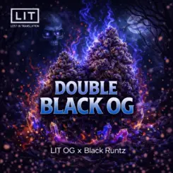 Double Black OG Cannabis Seeds by LIT Farms