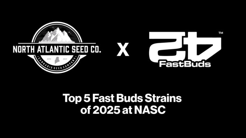 Top 5 Fast Buds Strains of 2025 at NASC