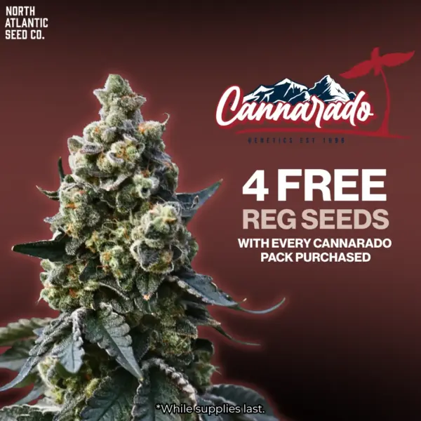Cannarado Genetics
