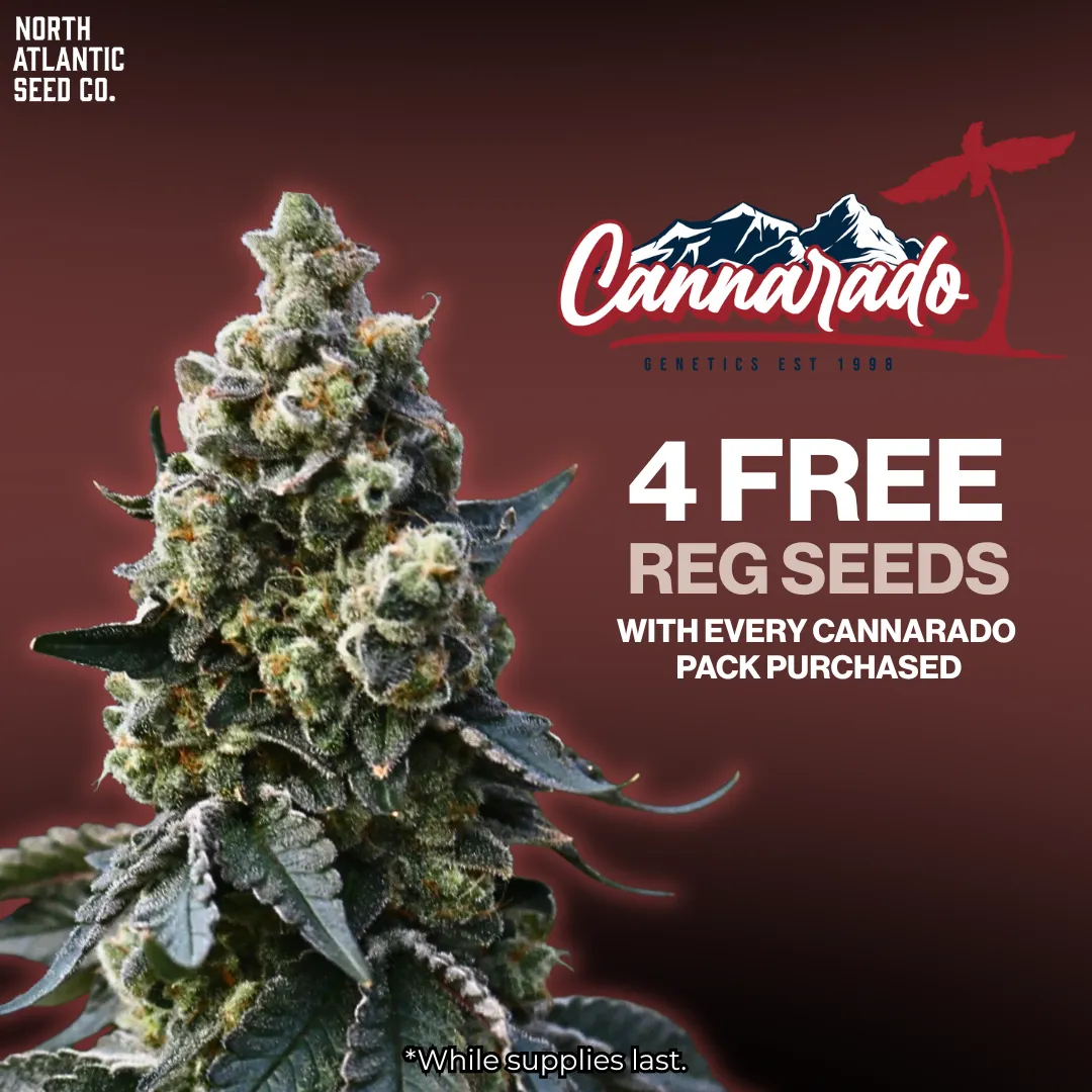Cannarado Genetics