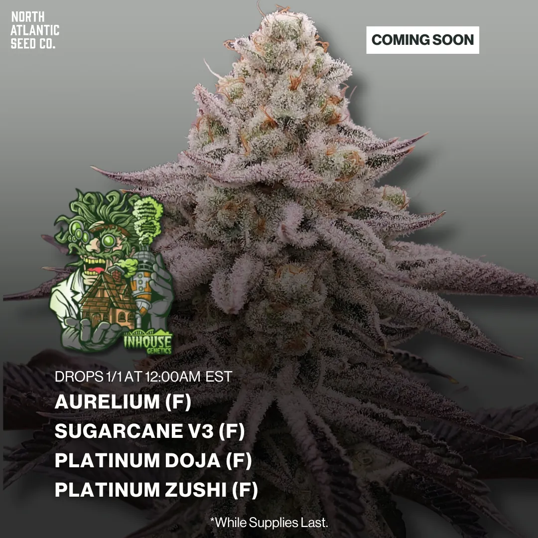 In House Genetics Logo