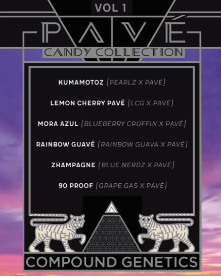 Pave Candy Collection Vol 1 cannabis seed by Compound Genetics