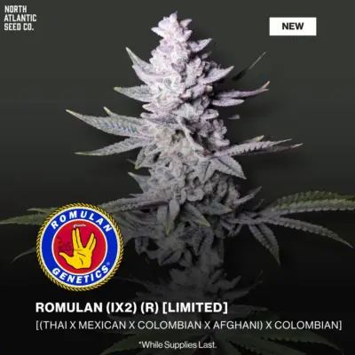 Romulan Genetics
