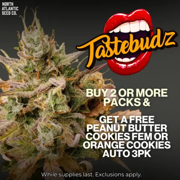 Tastebudz