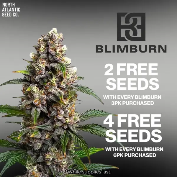 Blimburn Seeds