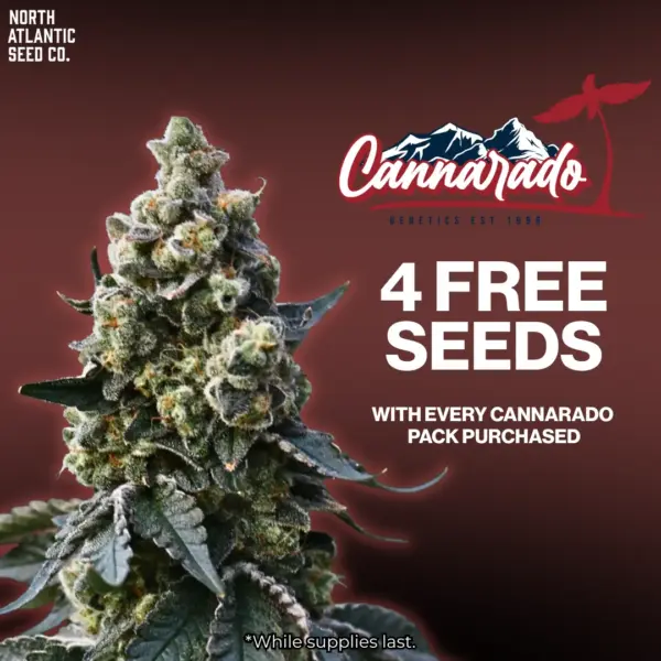 Cannarado Genetics
