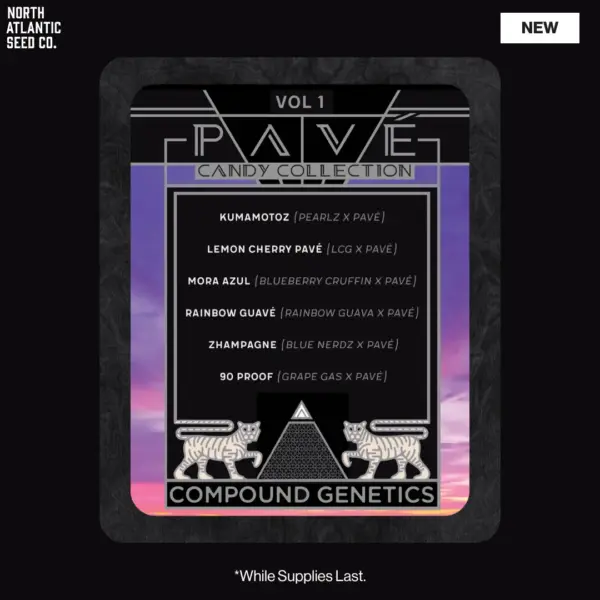 Pavé Candy Collection Drop