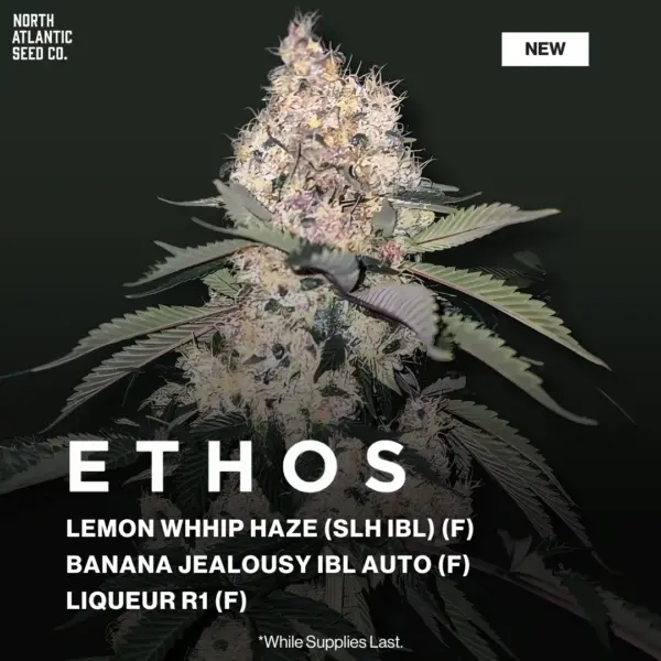 Ethos December 2025 Drop