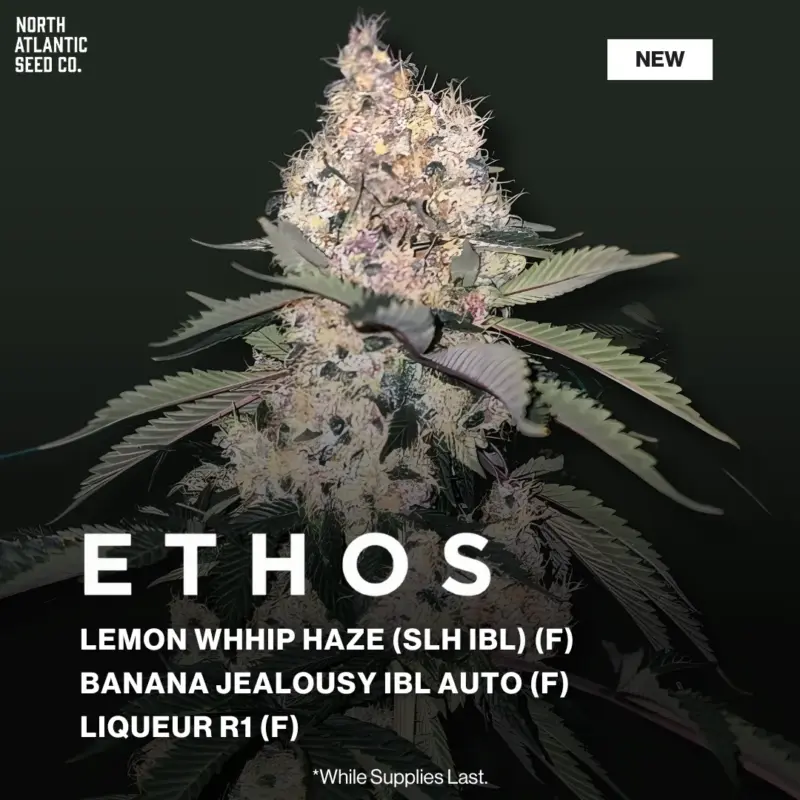 Ethos December 2025 Drop