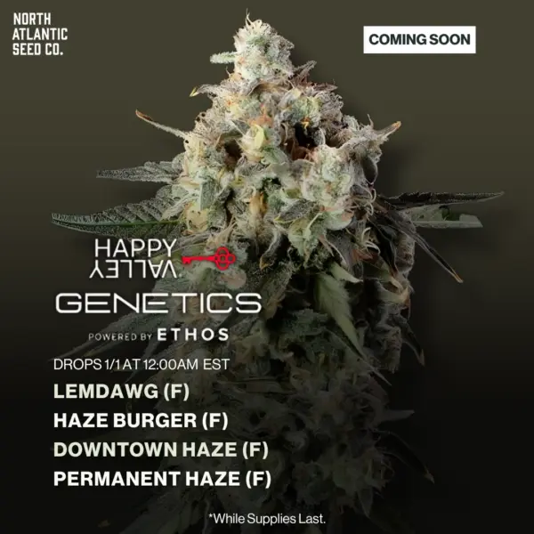 Happy Valley Genetics January 2026 Drop