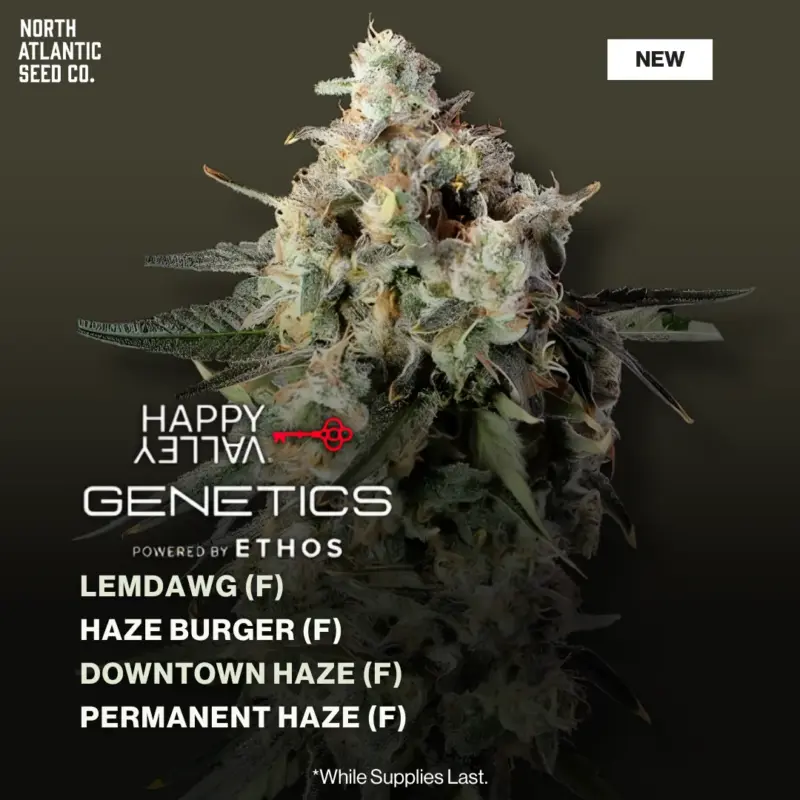 Happy Valley Genetics January 2026 Drop