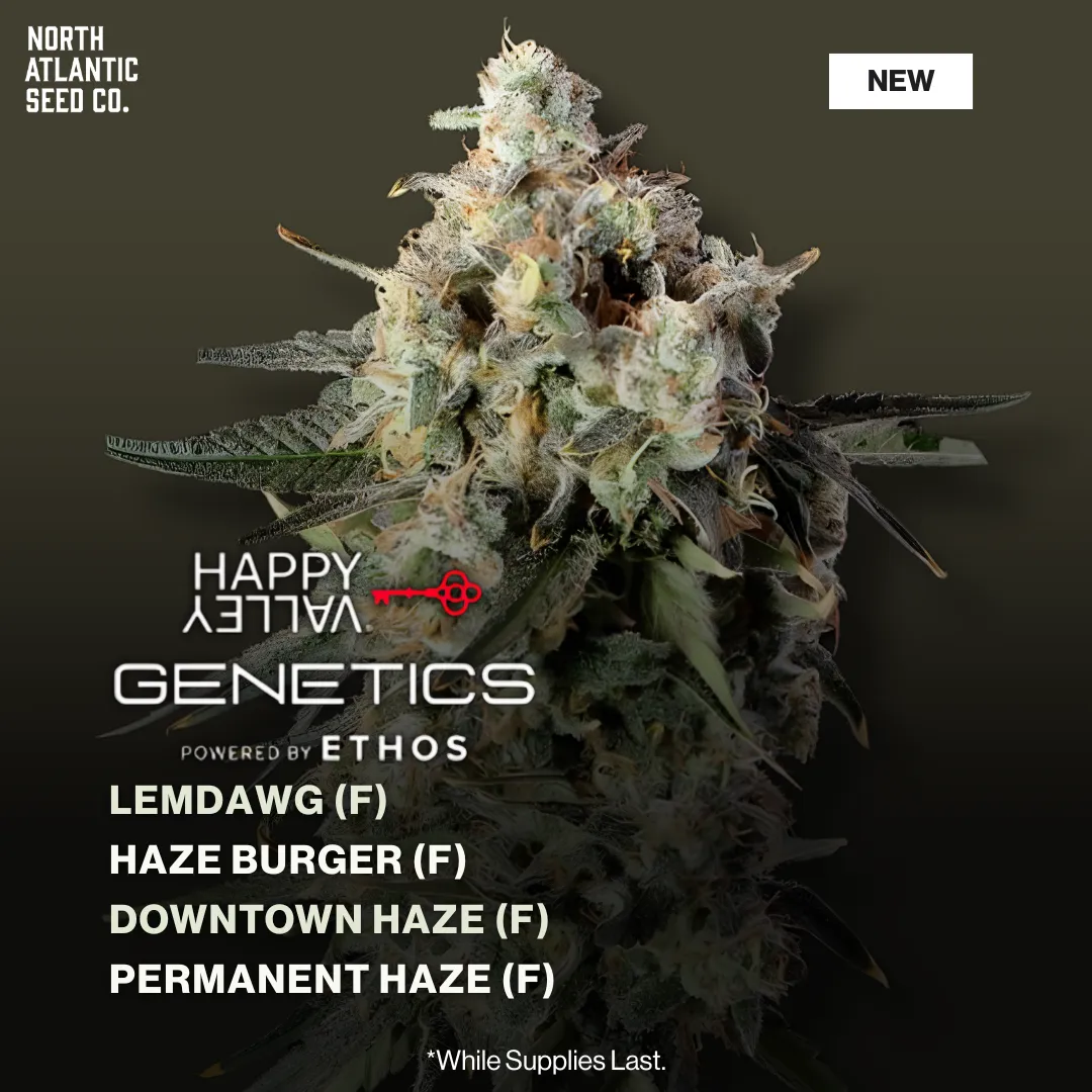 Happy Valley Genetics January 2026 Drop