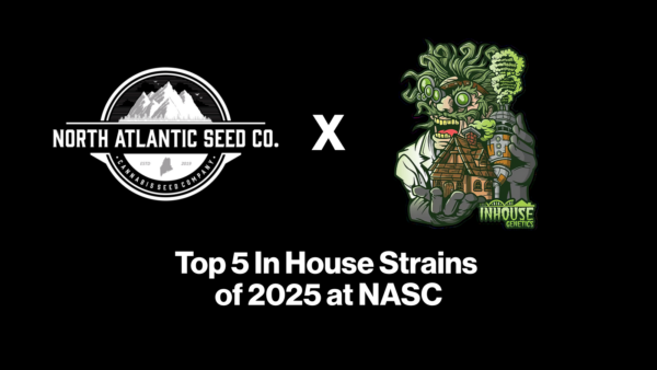 inhouse blog feature