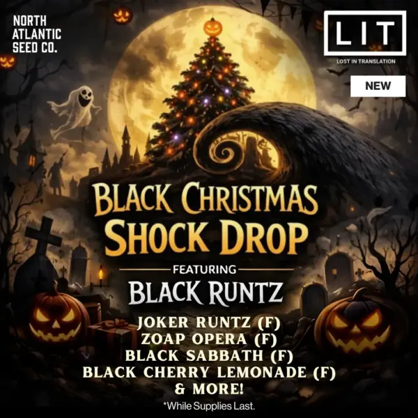 Black Christmas Shock Drop