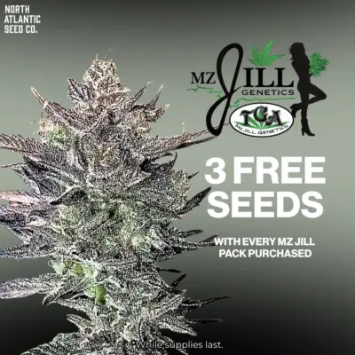 MZ Jill Genetics