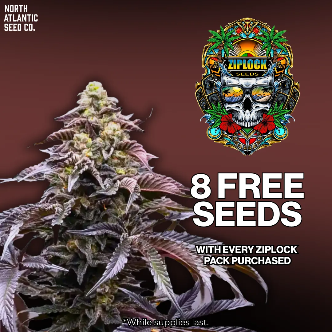 Ziplock Seeds