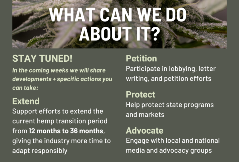 What can we do about it slide