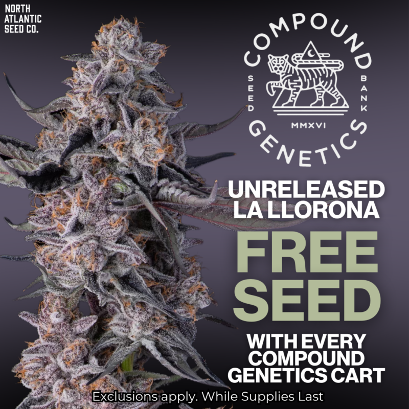 Compound Genetics Image