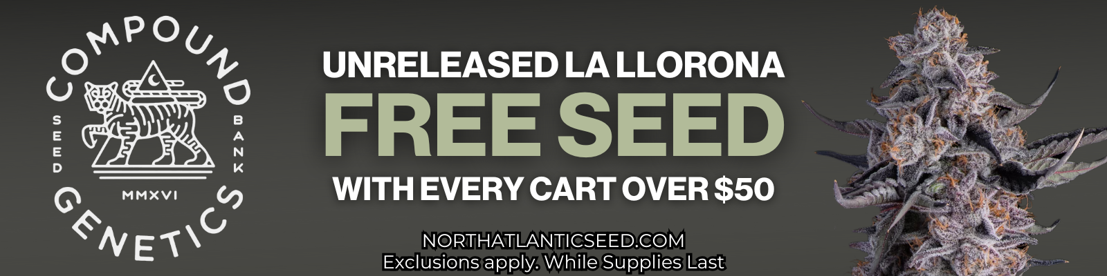 Compound Genetics La Llorona Sitewide Offer