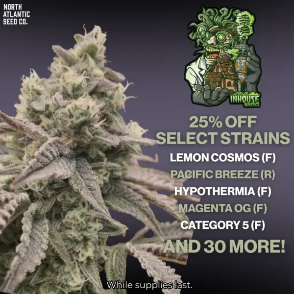 In House Last Chance