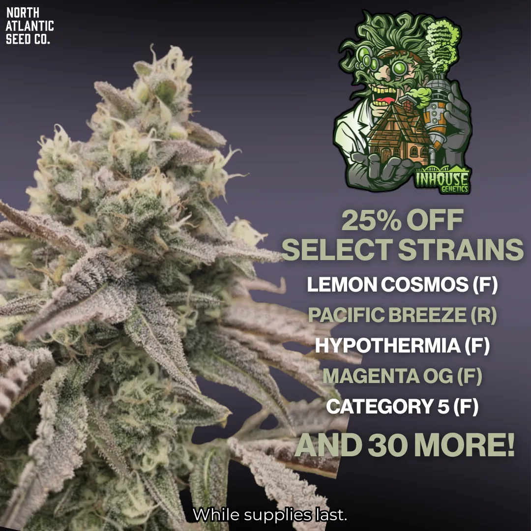 In House Last Chance