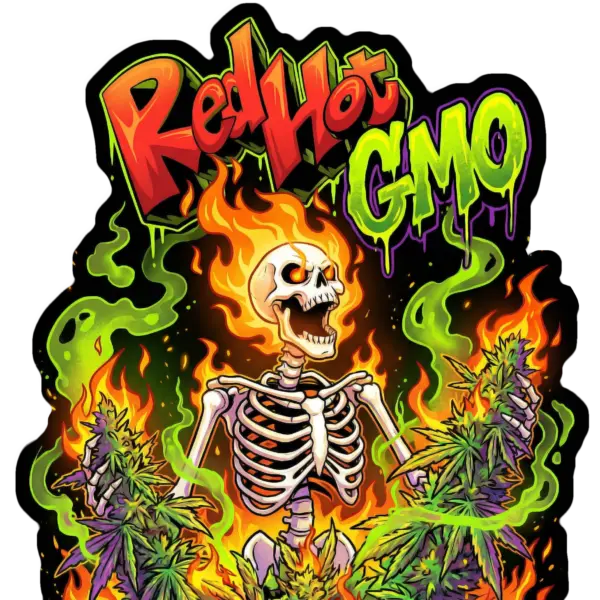 Red Hot GMO Cannabis Seeds by Robin Hood Seeds