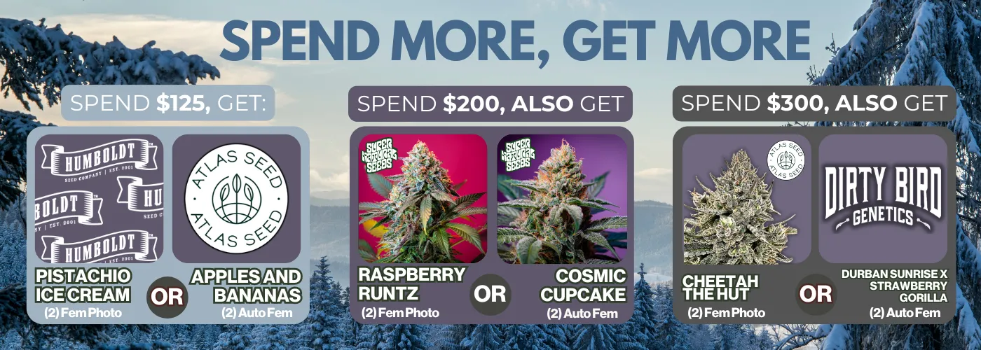 Spend More Get More January 2026