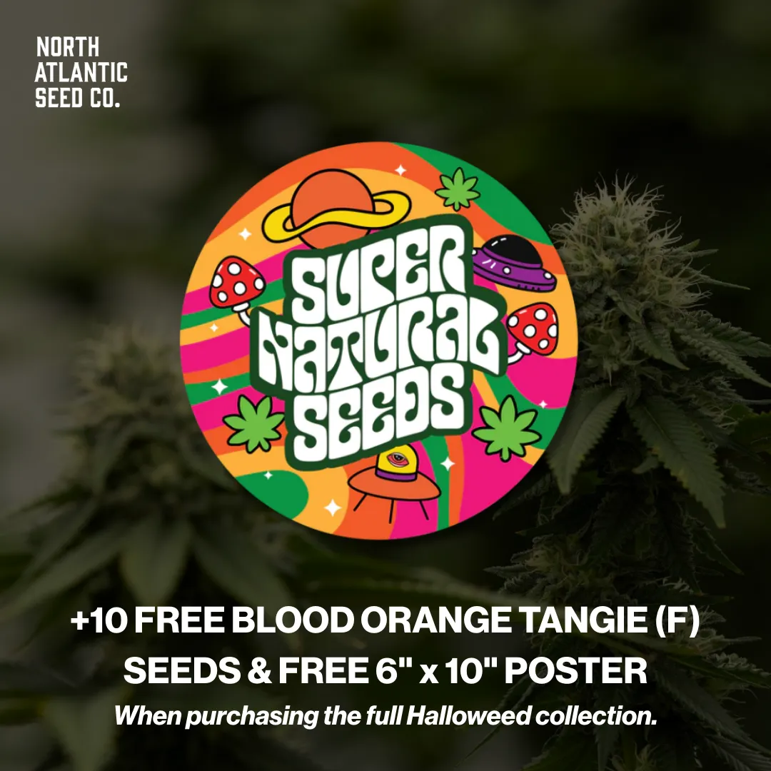 Super Natural Seeds Halloweed 2025 Collection