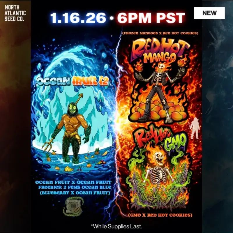 Square One Genetics Image