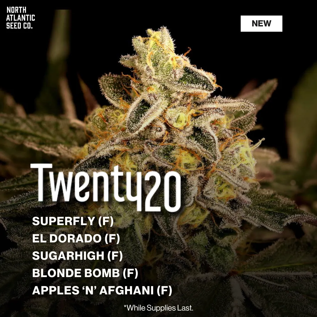 Twenty20 Mendocino Winter 2026 Drop