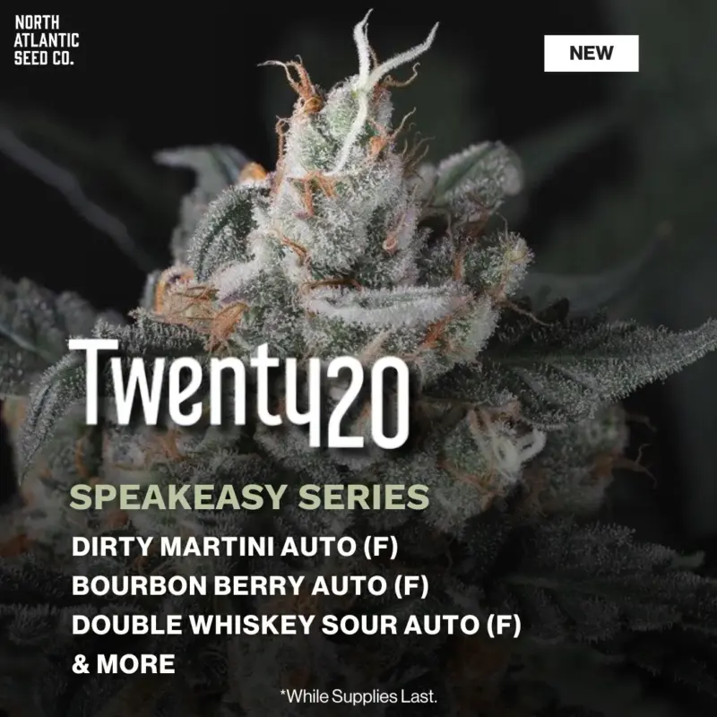 Twenty20 Speakeasy Series