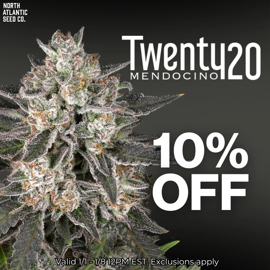 Twenty20 Mendocino