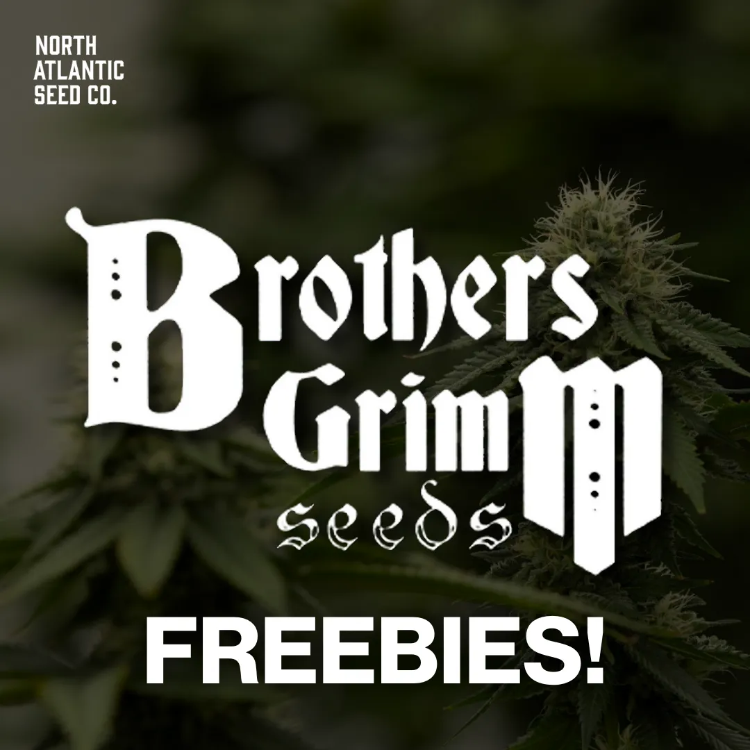 Brothers Grimm Seeds