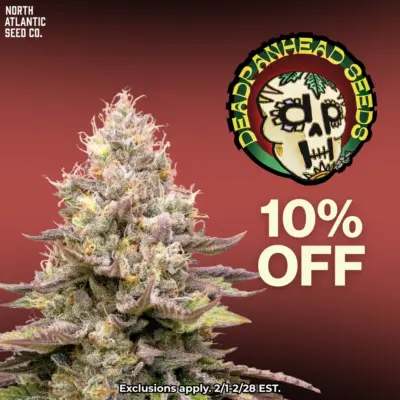 Deadpanhead Seeds
