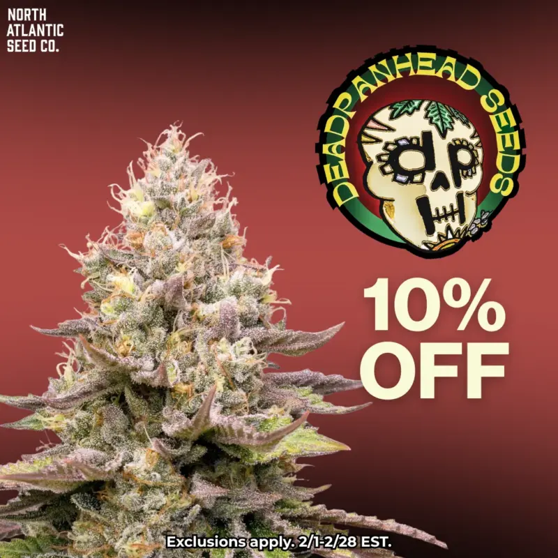 Deadpanhead Seeds Image
