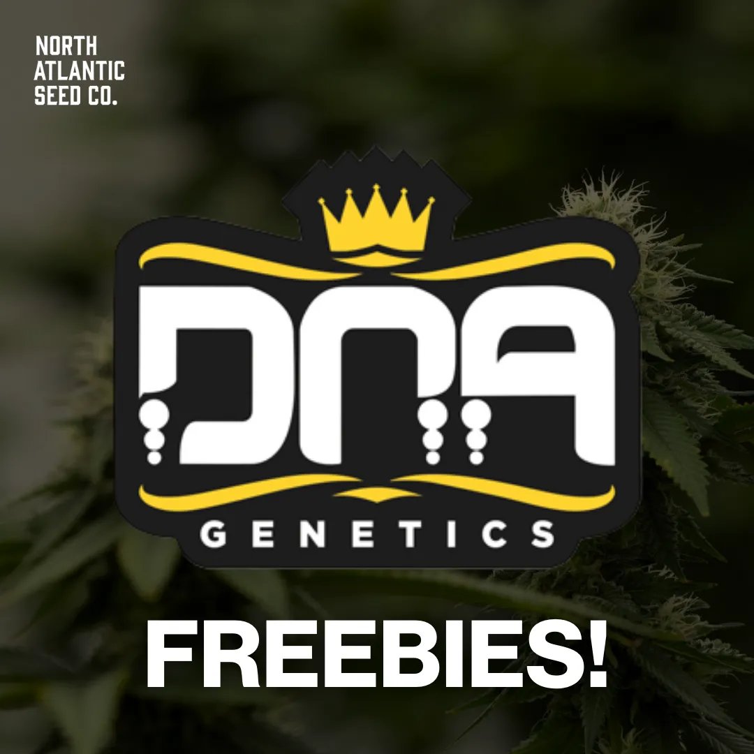 DNA Genetics