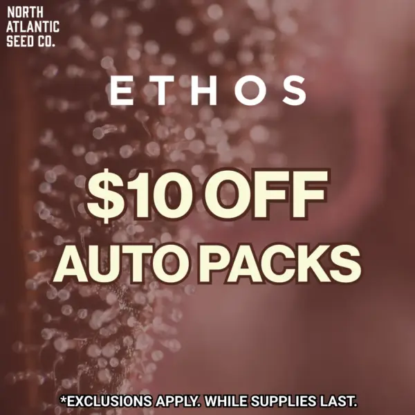 Ethos Genetics - Autoflowering