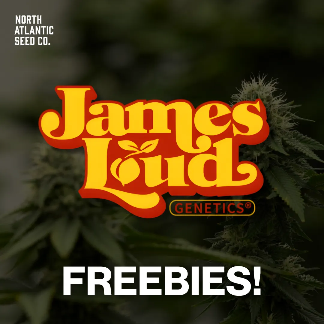 James Loud Genetics