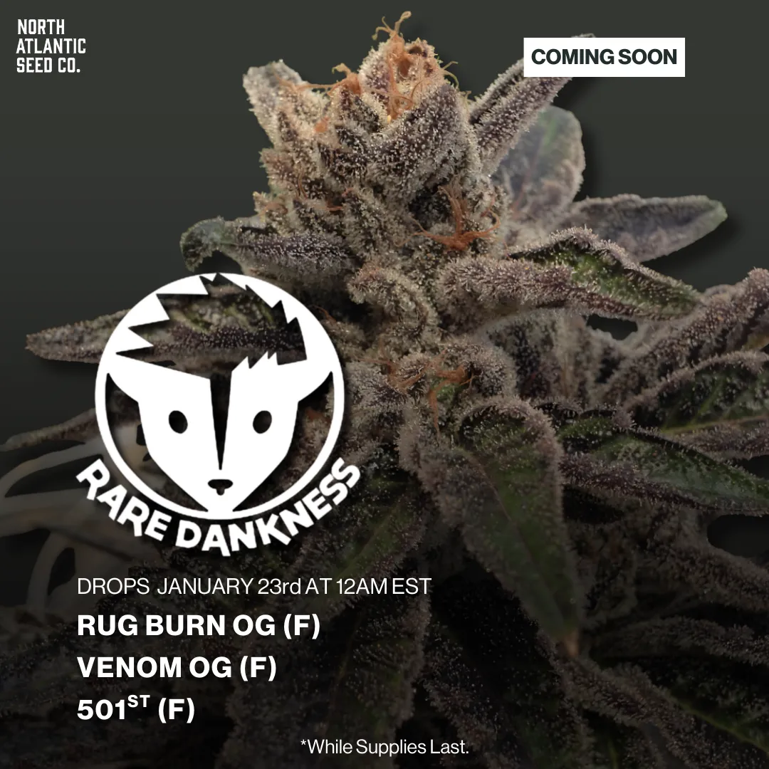 Rare Dankness 2026 Drop