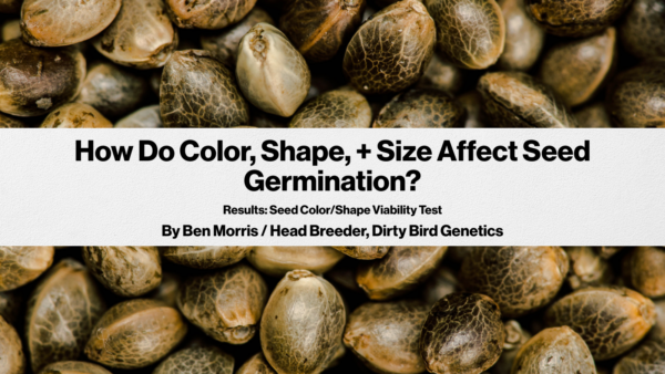 Seed color, shape, size blog post