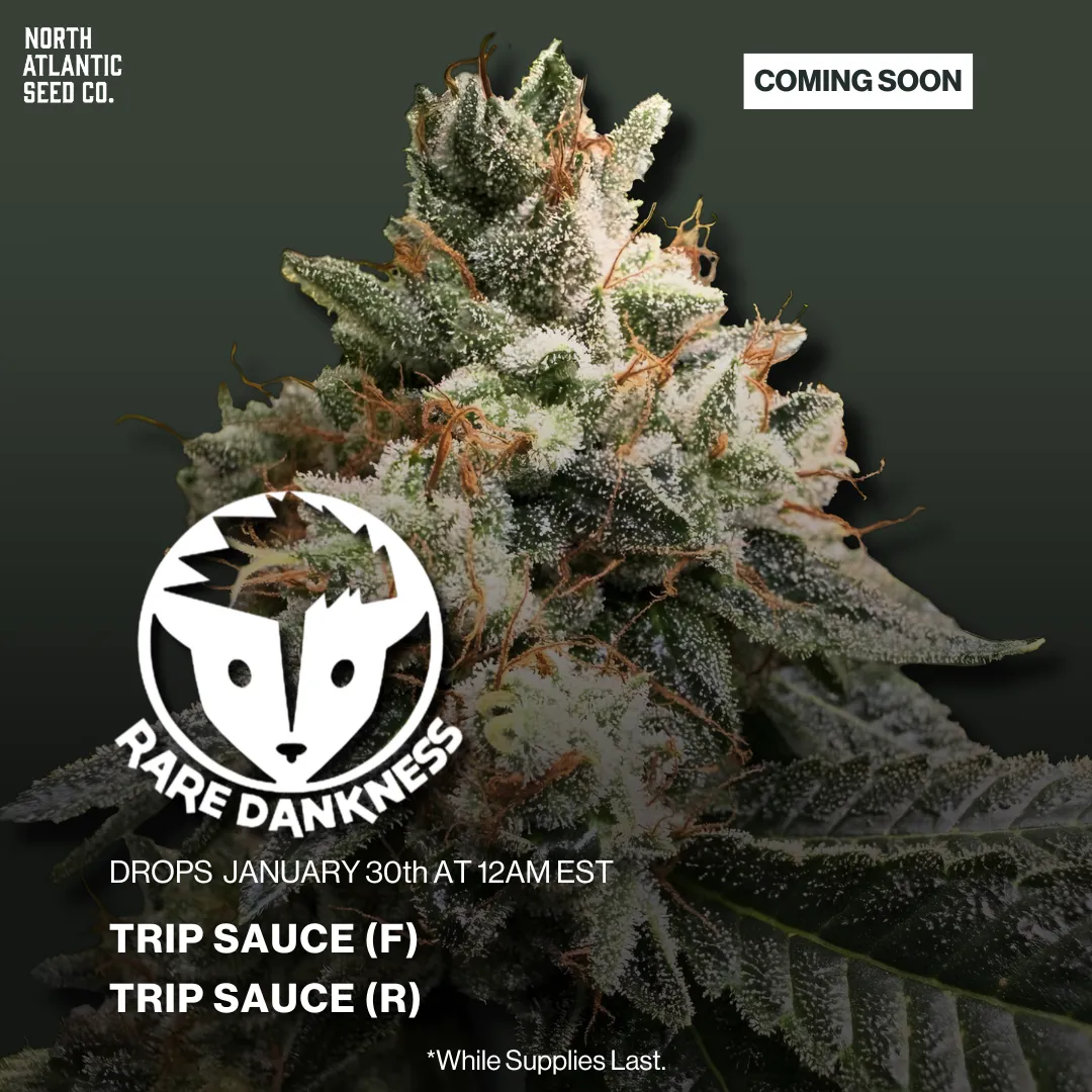 Rare Dankness 2026 Drop