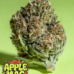 Apple Mac Cannabis Seeds by Supernatural Seeds