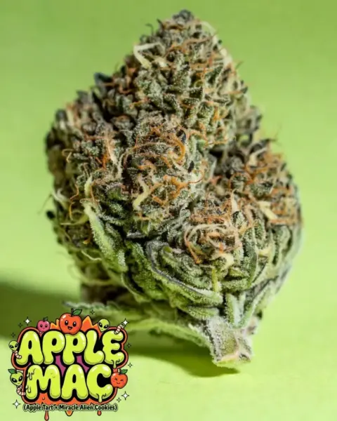Apple Mac Cannabis Seeds by Supernatural Seeds