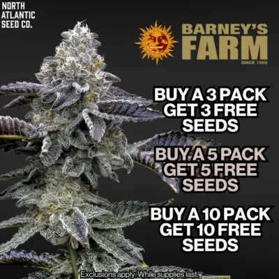 Barney's Farm
