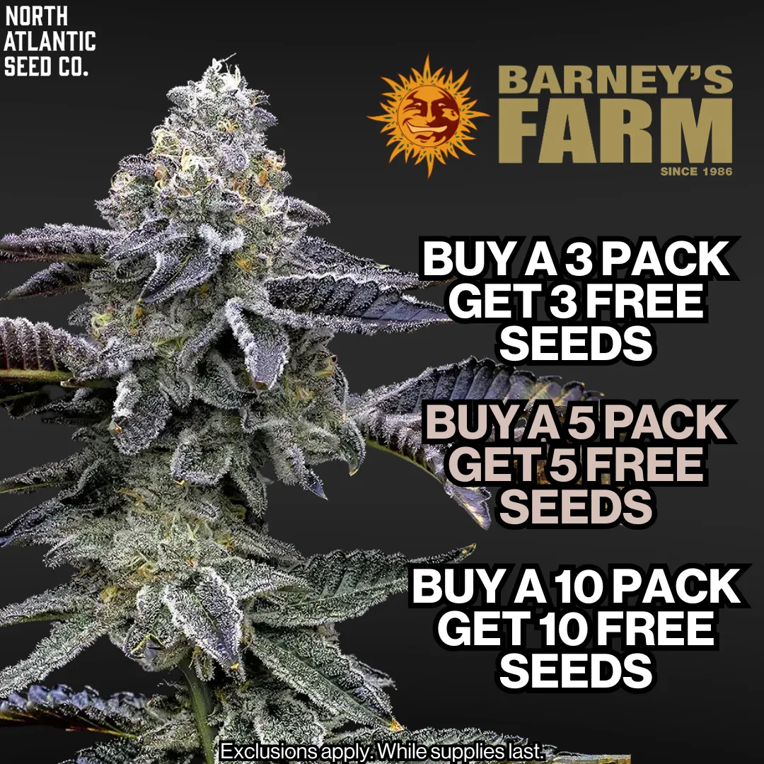 Barney's Farm