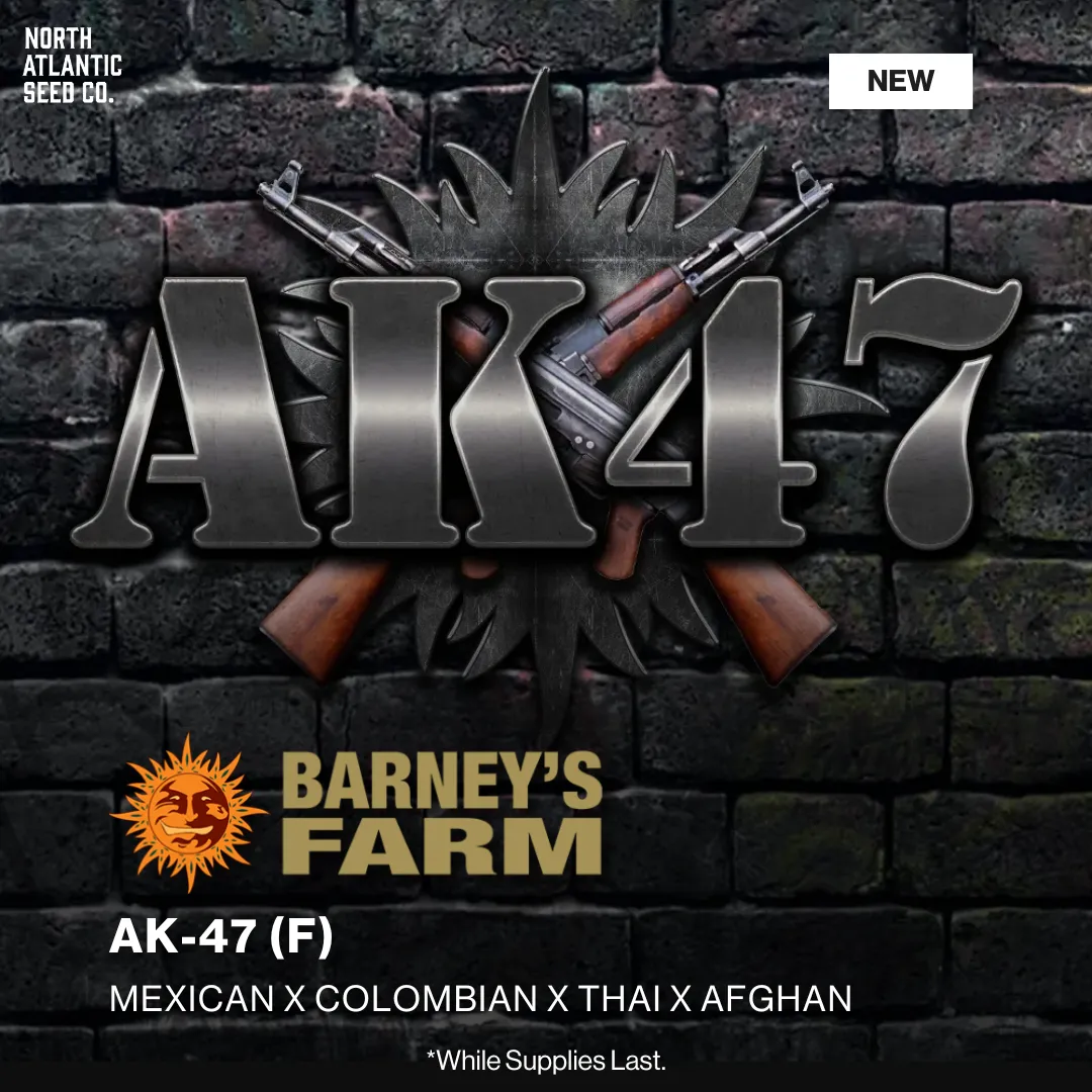 Barney's Farm New Strains March 2026