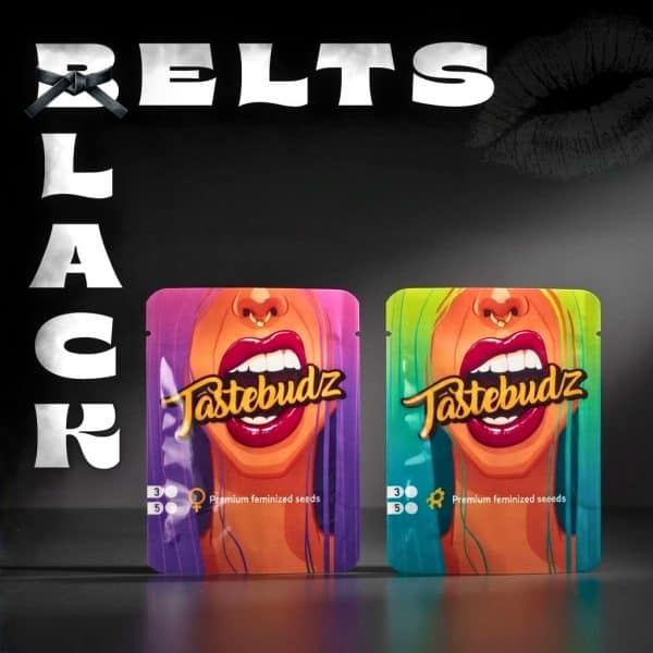 Black Belts Cannabis Seeds by Tastebudz