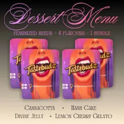Dessert Menu Bundle Cannabis Seeds by Tastebudz