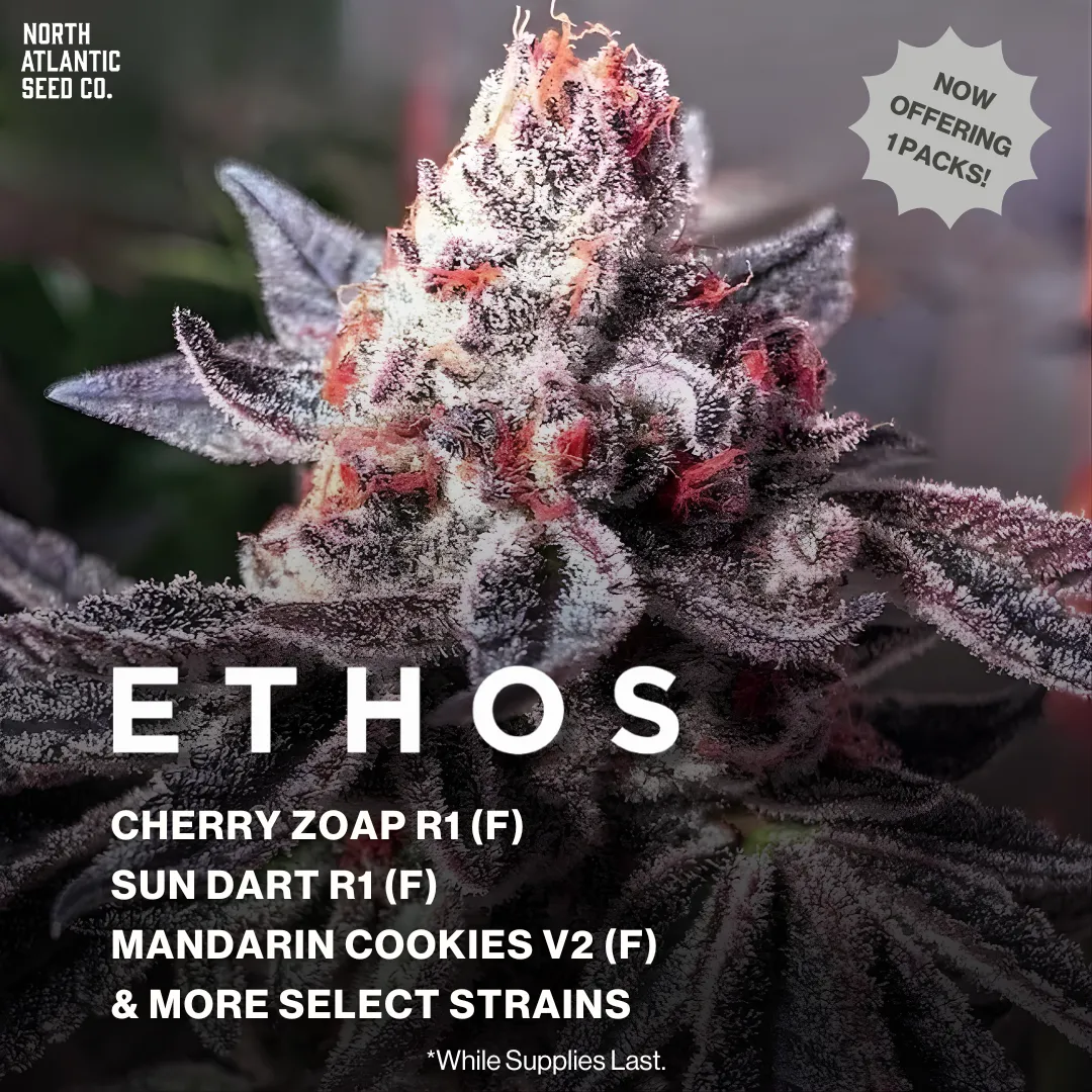 Ethos Genetics Solo Packs